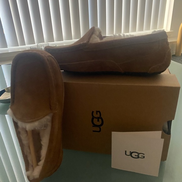 Kids UGG Ascot slippers- Brand NEW - Picture 7 of 11